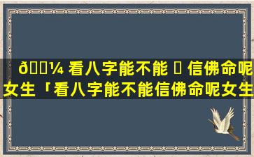 🐼 看八字能不能 ☘ 信佛命呢女生「看八字能不能信佛命呢女生图片」